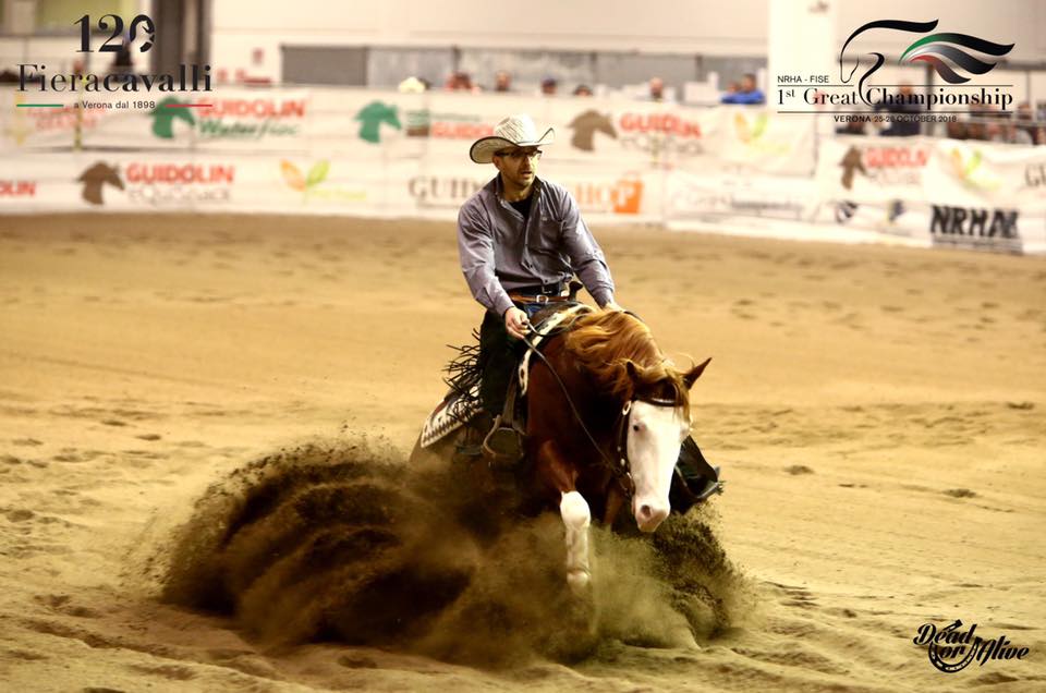 One Gun - Paint Horse Reining Stallion